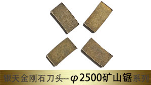 ����2500mm��ɽ�⵶ͷ