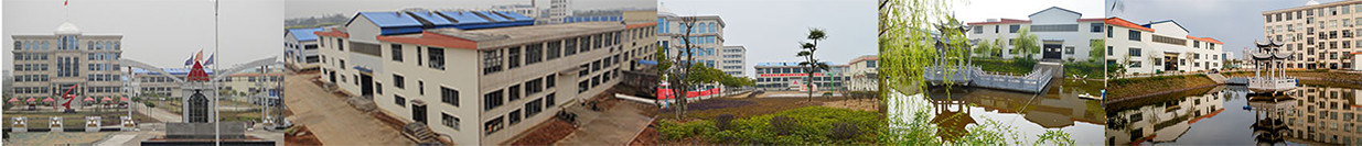 湖北银天集团厂区实景图